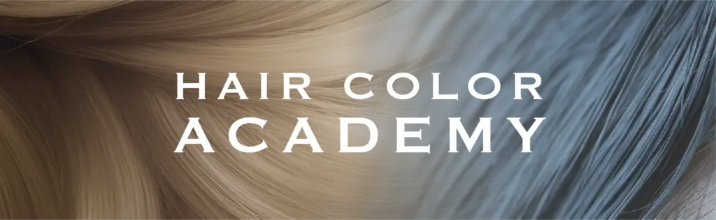 HAIR COLOR ACADEMY